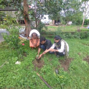 Shree Radhe Radhe Sewarth Foundation's environmental protection efforts.