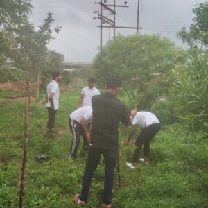 Shree Radhe Radhe Sewarth Foundation's environmental protection efforts.