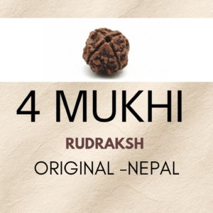 4 mukhi rudraksha