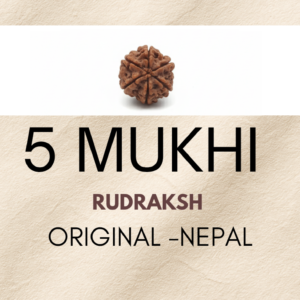 Natural 5 Mukhi Rudraksha Bead