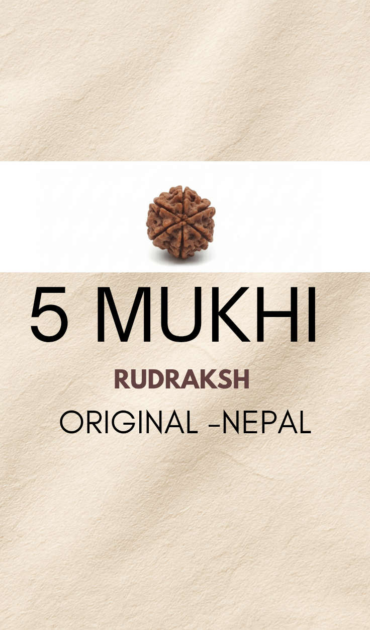 Natural 5 Mukhi Rudraksha Bead