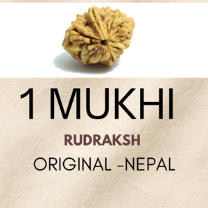 1 mukhi rudraksha
