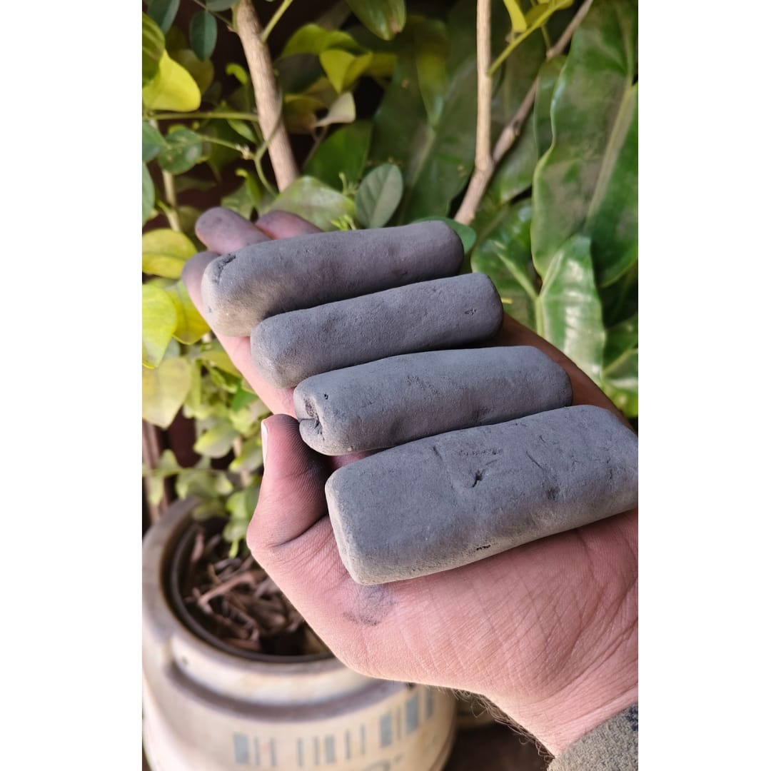 WhatsApp Image 2026-03-13 at 9.02